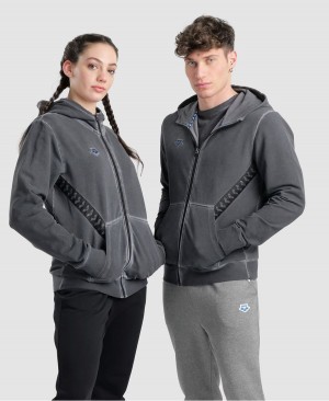 Arena Icons Mit Kapuze Jacke Grau | PCC28F-740