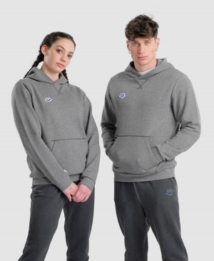 Arena Icons Solid Mit Kapuze Sweatshirt Grau | AFN21G-232