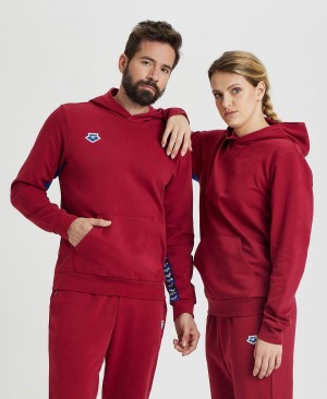 Arena Icons Solid Mit Kapuze Sweatshirt Bordeaux | UNE59T-339