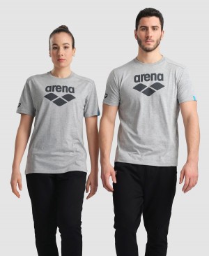 Arena Logo Baumwoll T-Shirt Grau | FZG17Y-771