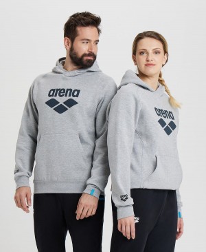 Arena Logo Mit Kapuze Sweatshirt Grau | CVS33B-781