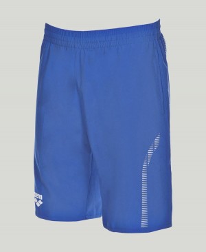 Arena Team Line Bermuda Kurze Hose Blau | IHR36Q-297