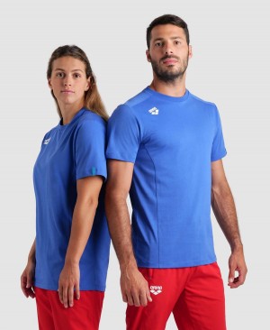 Arena Team Panel T-Shirt Blau | NQN63J-508