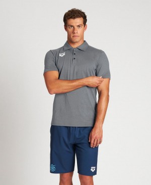 Arena USA Tech Poloshirt Grau | VZX08E-422