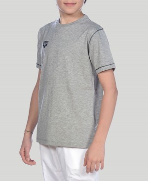 Arena Youth Team Line Kurzes Sleeve T-Shirt Grau | UEA53N-126