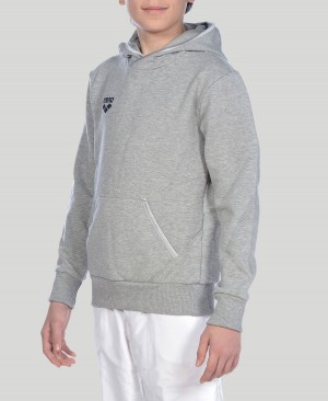 Arena Youth Team Line Long Sleeve Hoodie Grau | OPL97H-276