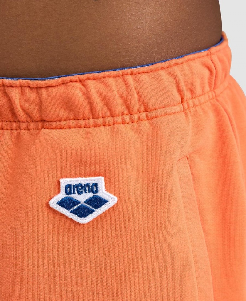 Arena Icons Kurze Hose Orange | DSS41M-306