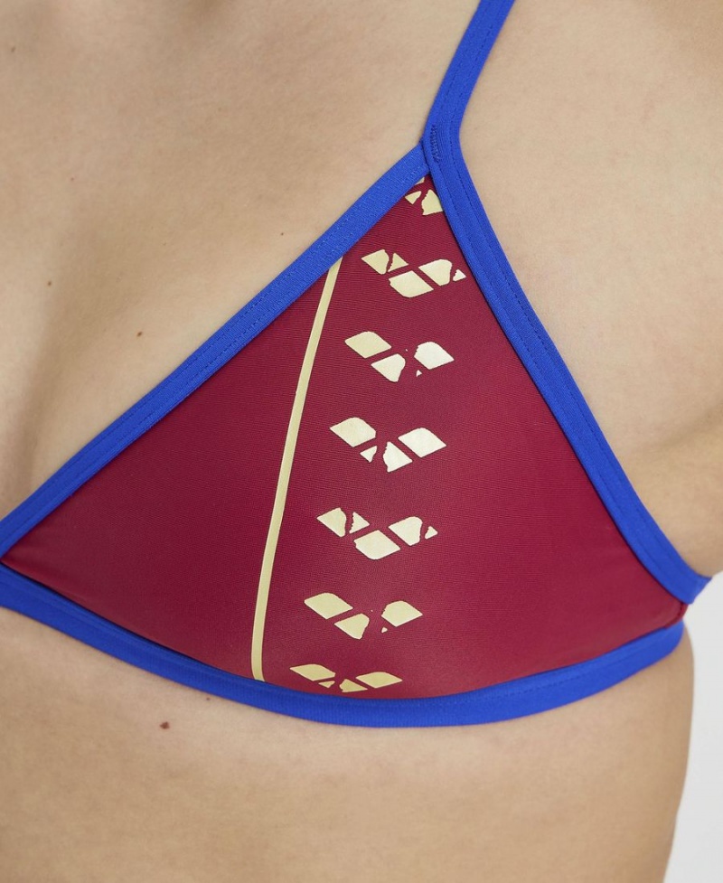 Arena Icons Logo Triangle Top Badeanzug Bordeaux Blau | IUN59S-939