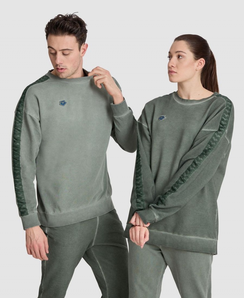 Arena Icons Oversize Sweatshirt Grün | LTD16J-640