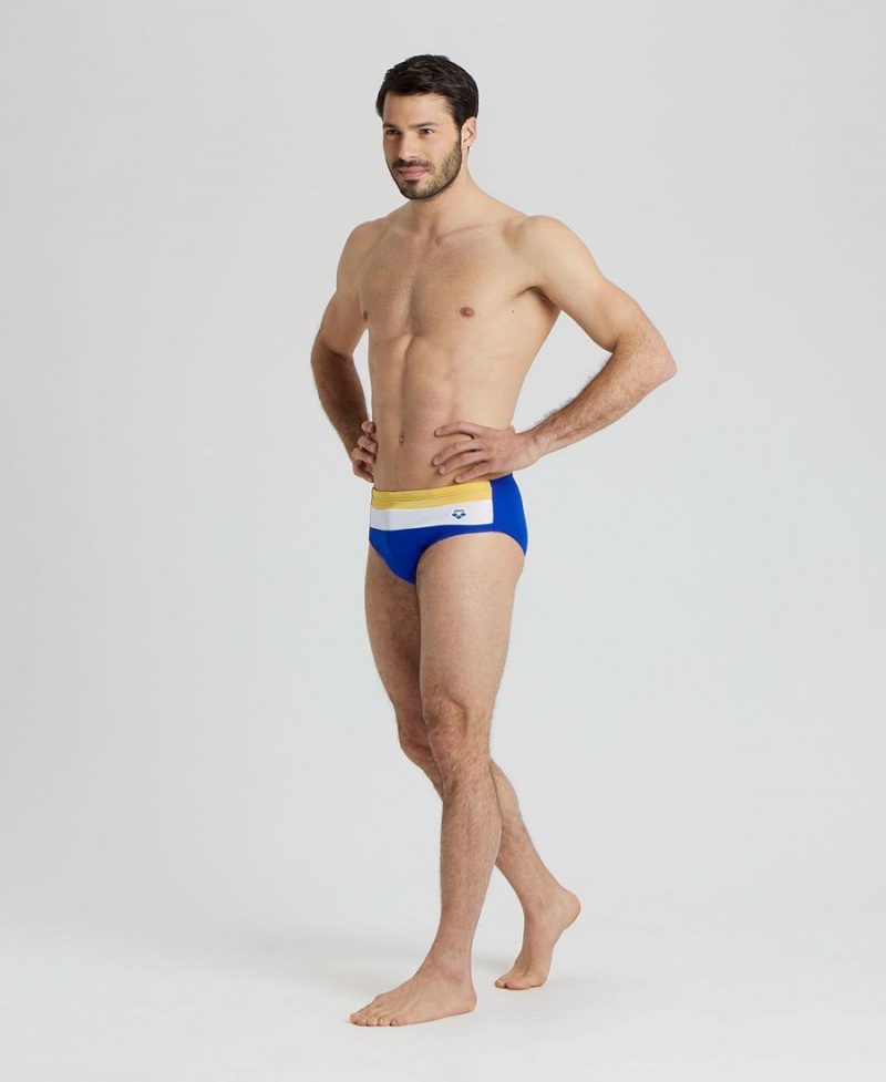 Arena Icons Panels Schwimmhose Blau Bordeaux Weiß | RPE46W-815