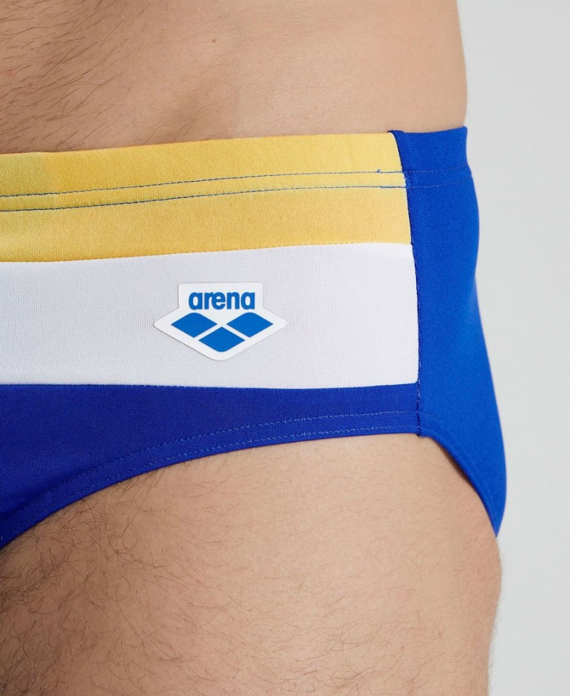 Arena Icons Panels Schwimmhose Blau Bordeaux Weiß | RPE46W-815