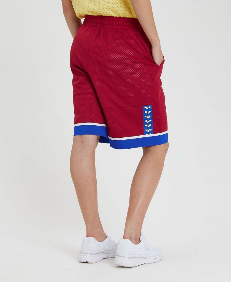 Arena Icons Reversible Bermuda Kurze Hose Bordeaux Blau | MTJ32U-883