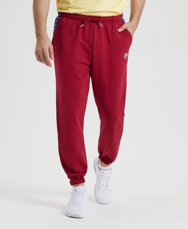 Arena Icons Solid Hose Bordeaux | UHQ07S-395