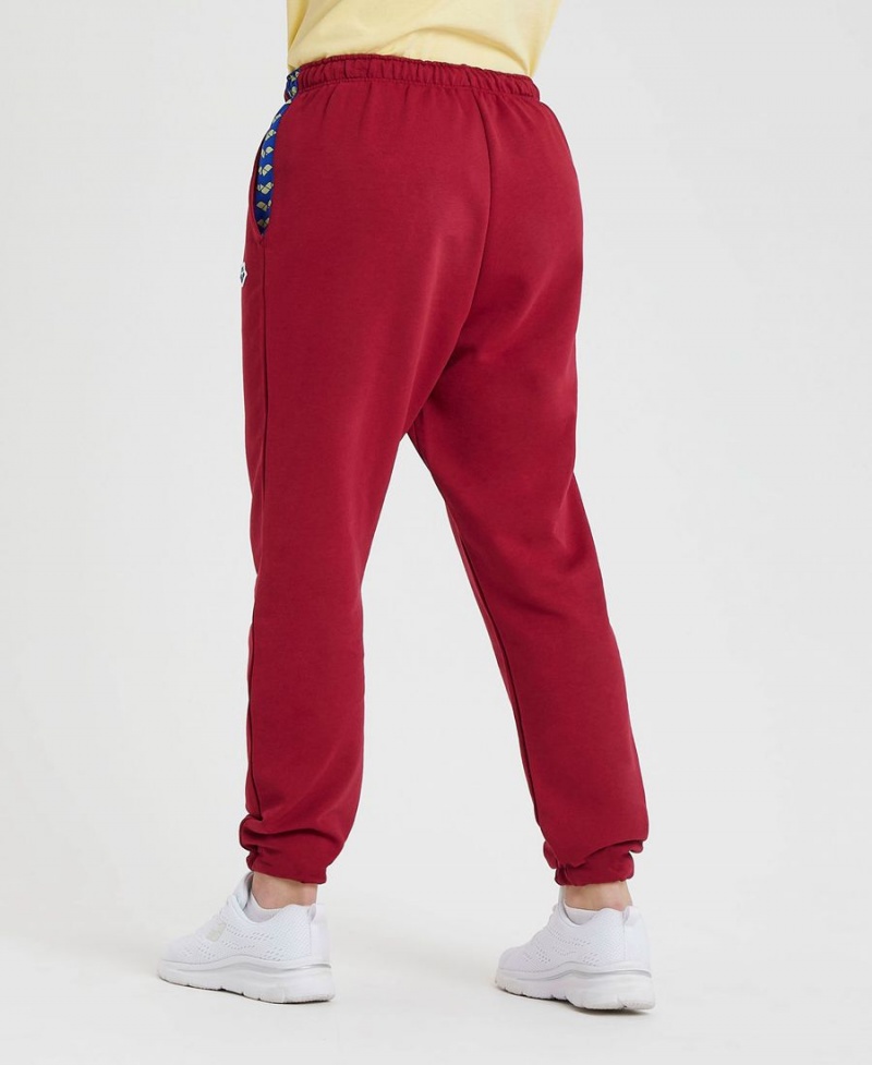 Arena Icons Solid Hose Bordeaux | UHQ07S-395