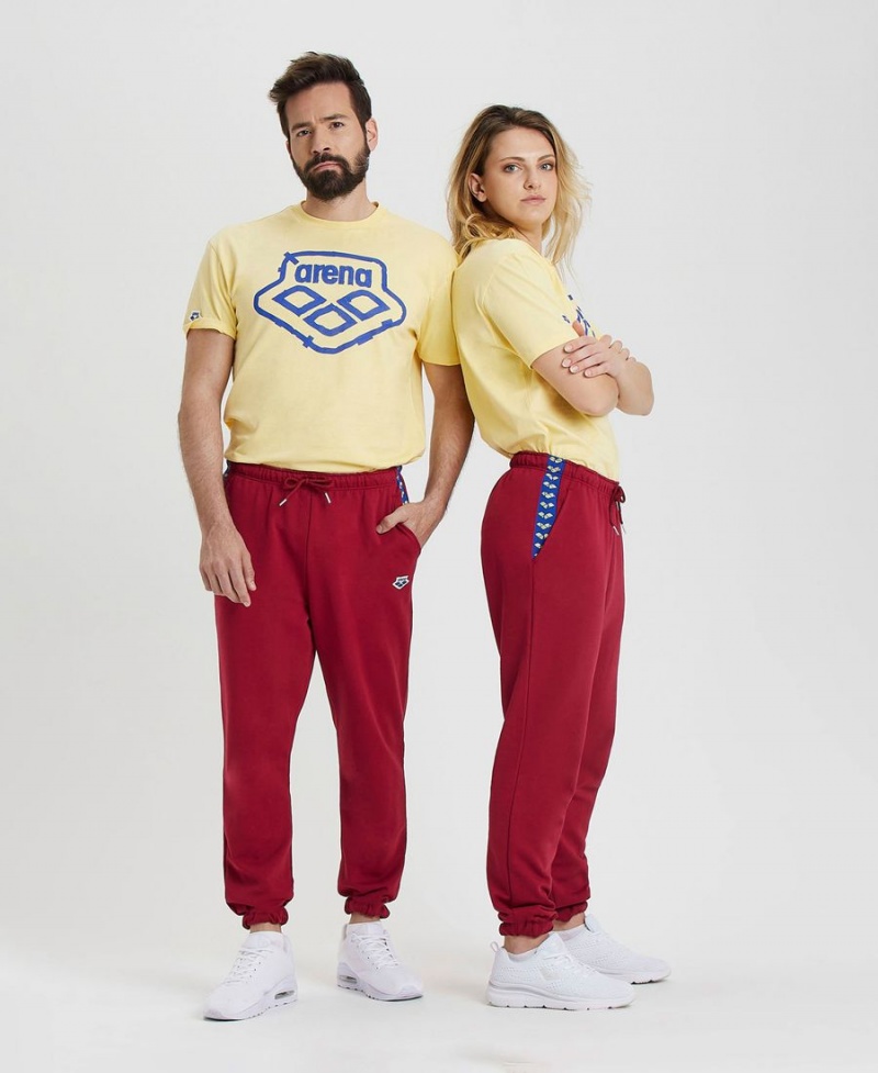 Arena Icons Solid Hose Bordeaux | UHQ07S-395