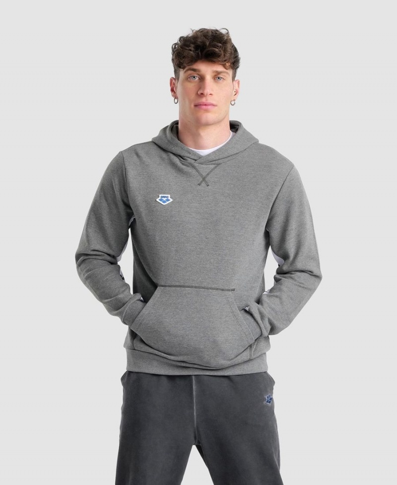 Arena Icons Solid Mit Kapuze Sweatshirt Grau | AFN21G-232