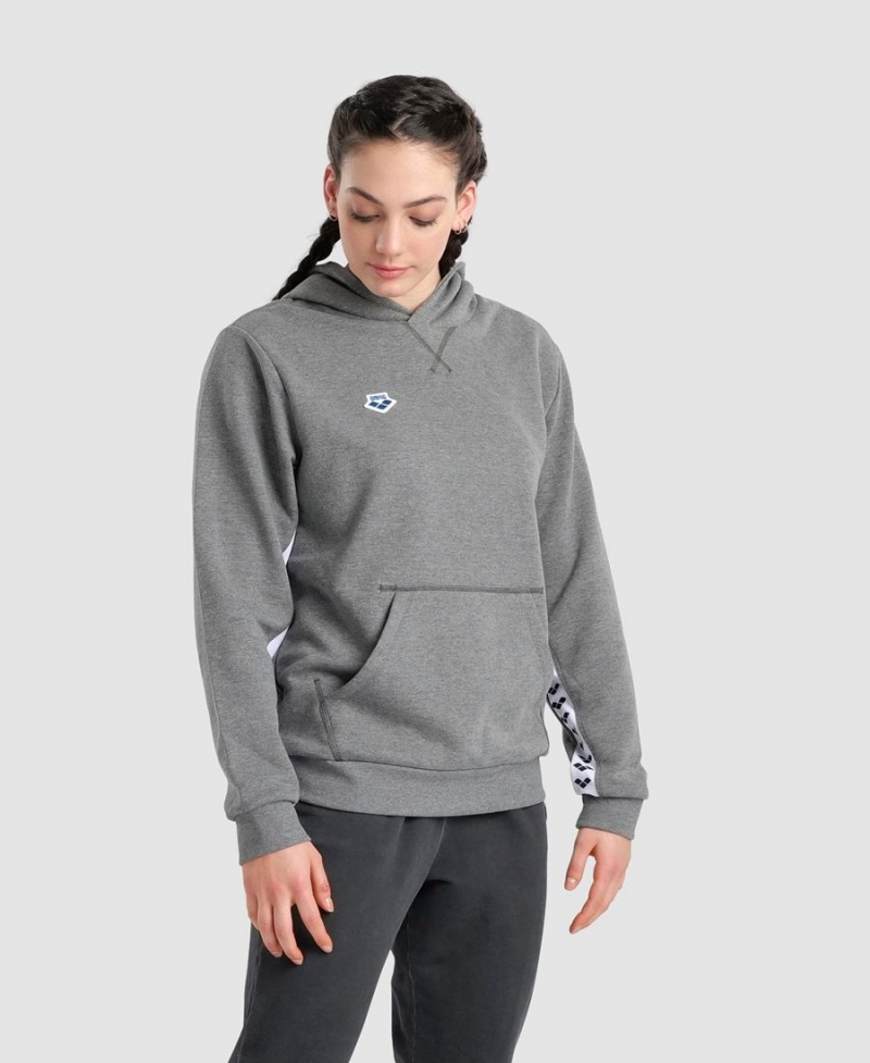 Arena Icons Solid Mit Kapuze Sweatshirt Grau | AFN21G-232