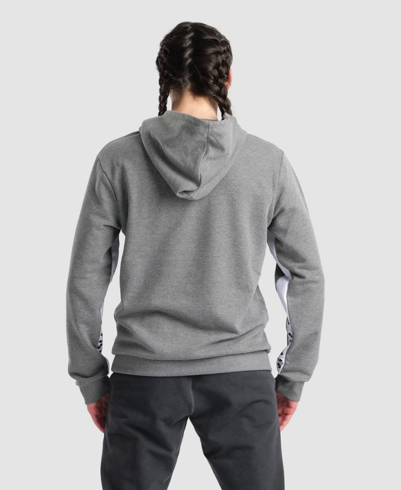 Arena Icons Solid Mit Kapuze Sweatshirt Grau | AFN21G-232