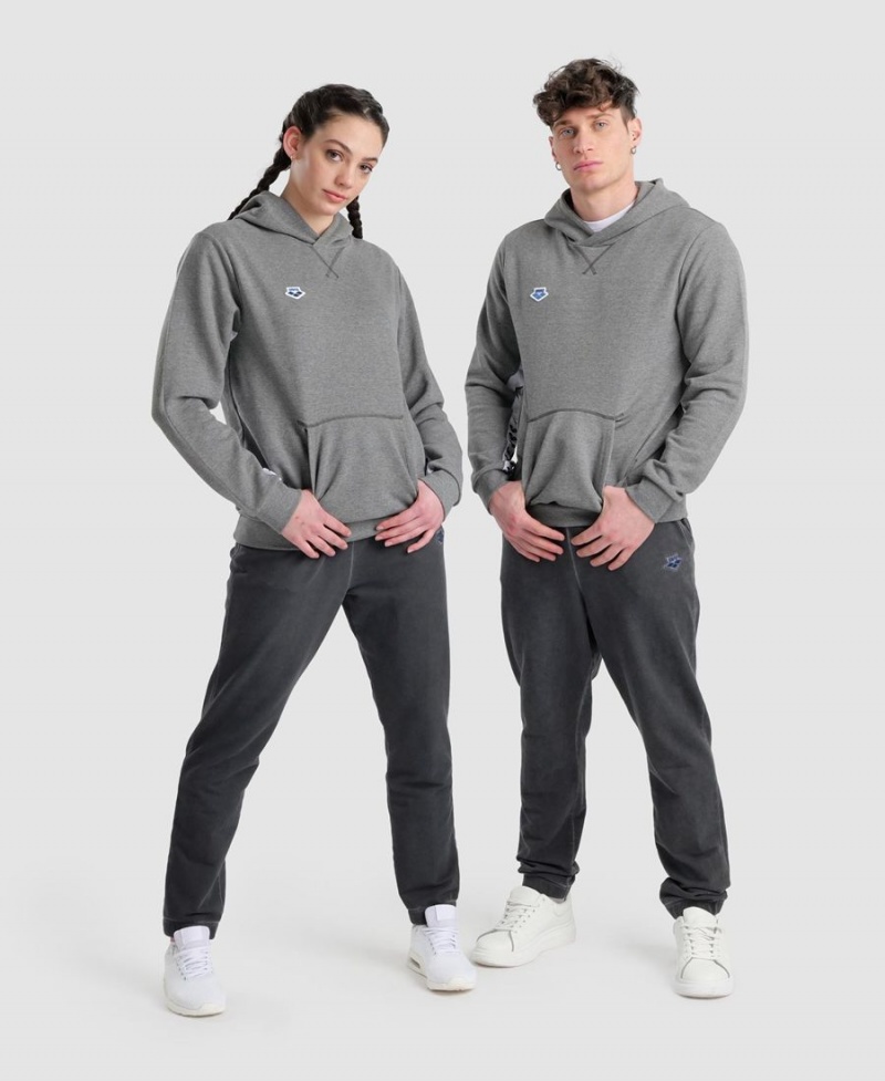 Arena Icons Solid Mit Kapuze Sweatshirt Grau | AFN21G-232