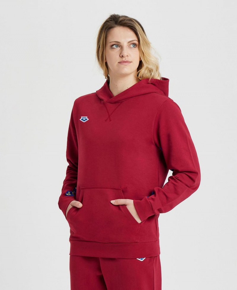 Arena Icons Solid Mit Kapuze Sweatshirt Bordeaux | UNE59T-339