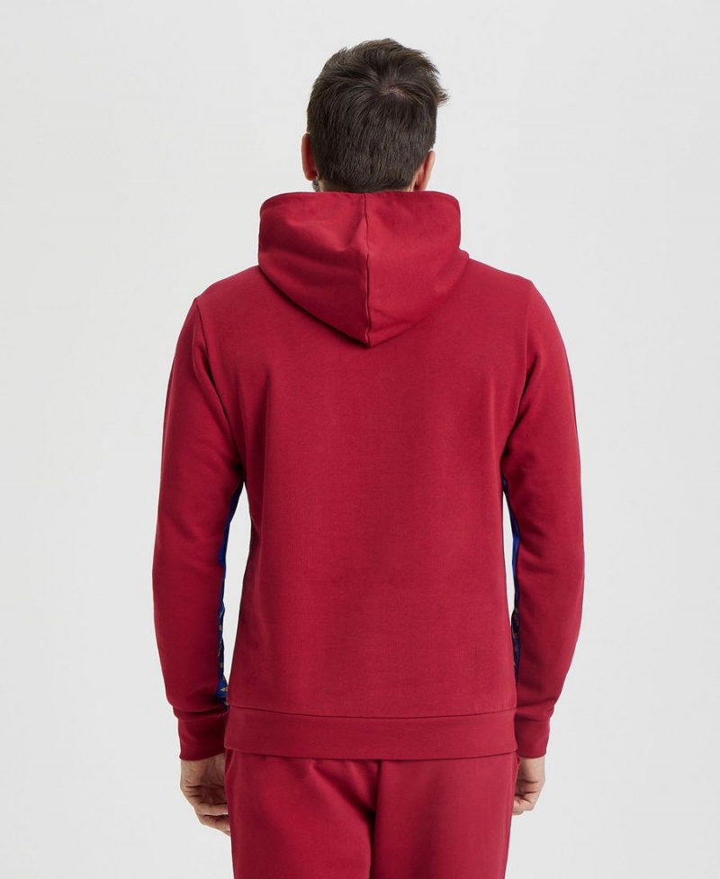 Arena Icons Solid Mit Kapuze Sweatshirt Bordeaux | UNE59T-339