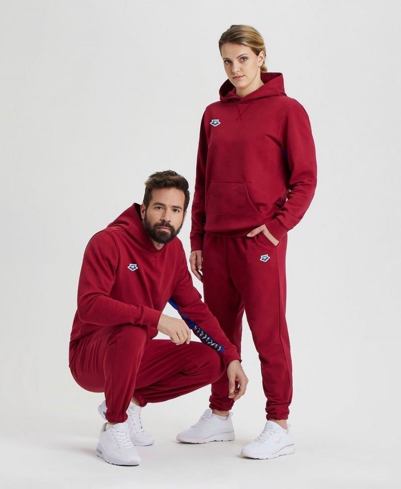 Arena Icons Solid Mit Kapuze Sweatshirt Bordeaux | UNE59T-339