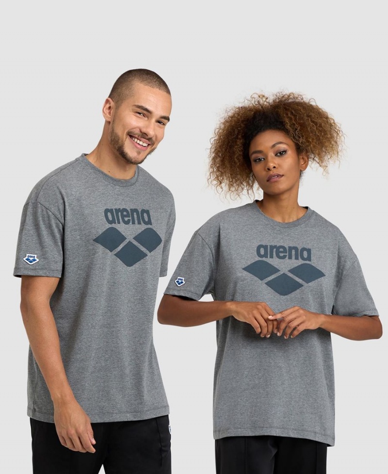 Arena Icons T-Shirt Grau | FXV95R-372