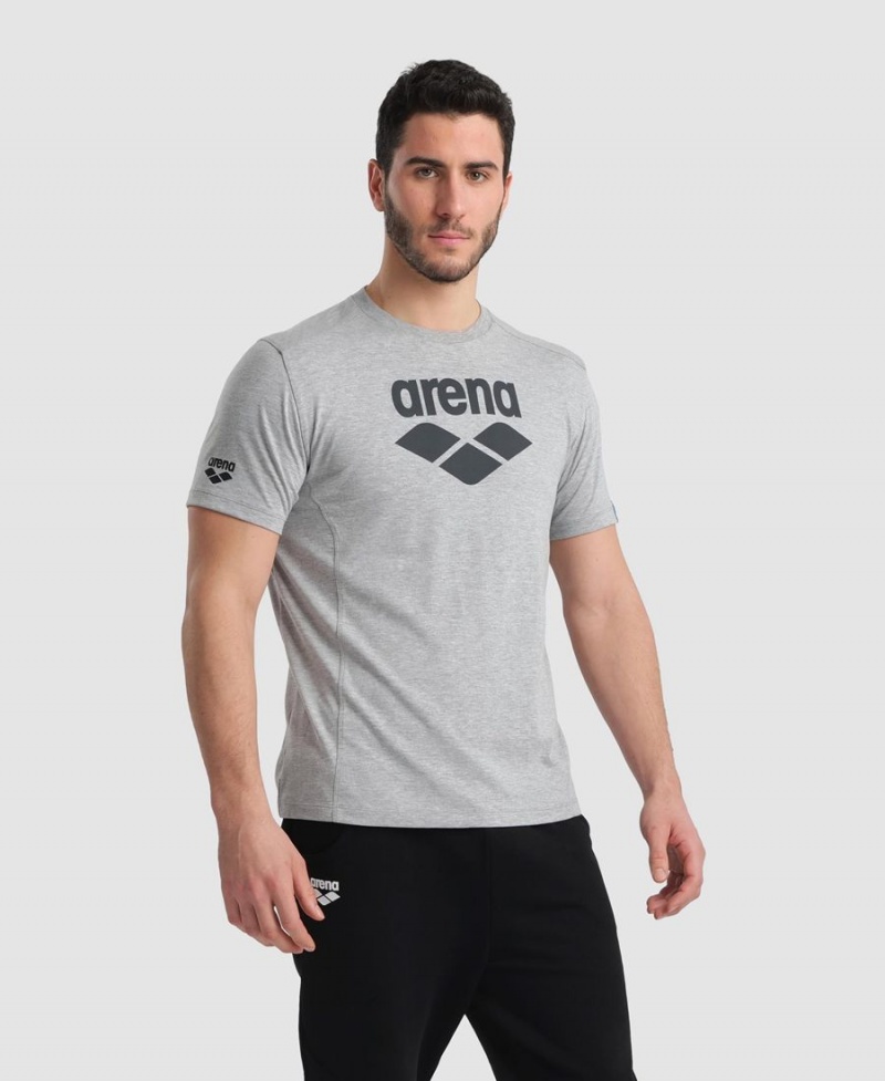 Arena Logo Baumwoll T-Shirt Grau | FZG17Y-771