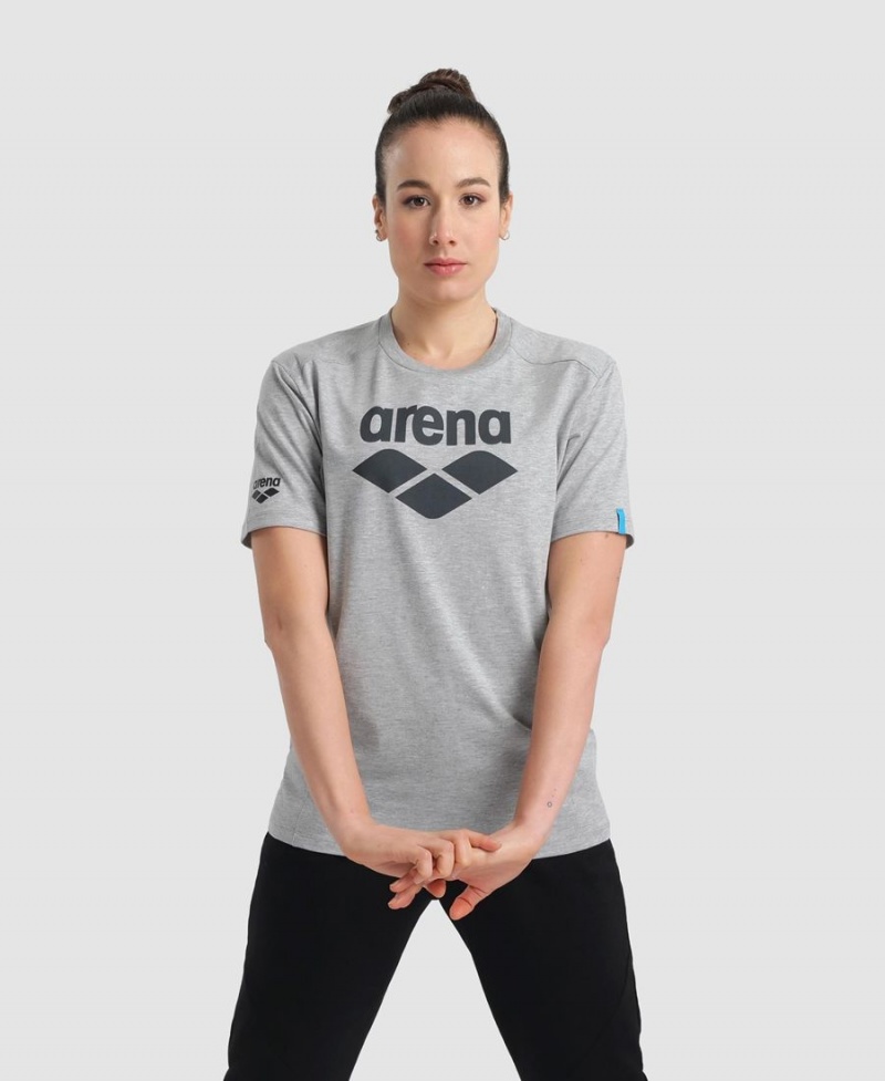 Arena Logo Baumwoll T-Shirt Grau | FZG17Y-771