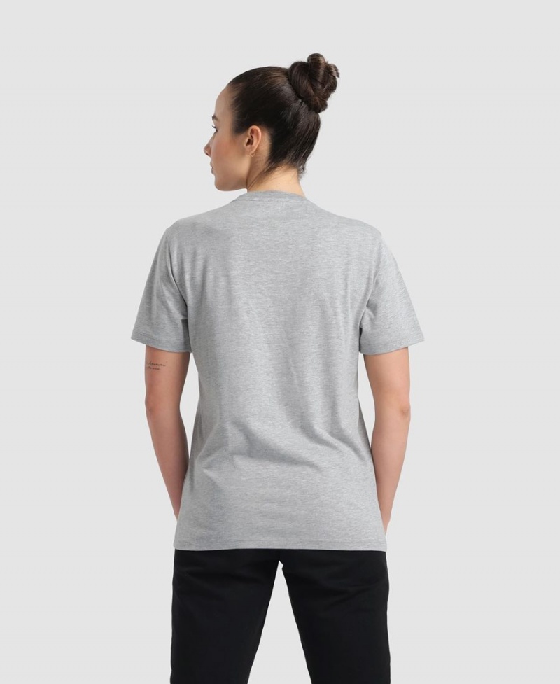 Arena Logo Baumwoll T-Shirt Grau | FZG17Y-771