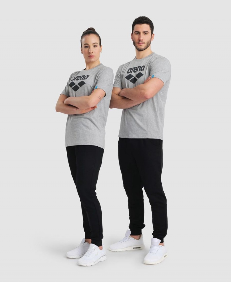 Arena Logo Baumwoll T-Shirt Grau | FZG17Y-771