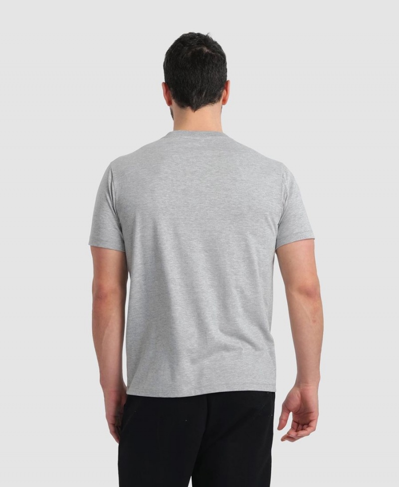 Arena Logo Baumwoll T-Shirt Grau | SUJ95H-060