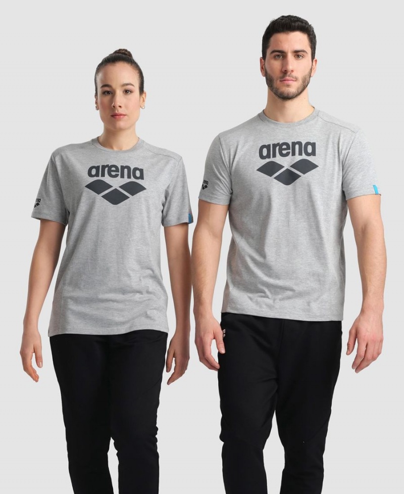 Arena Logo Baumwoll T-Shirt Grau | SUJ95H-060