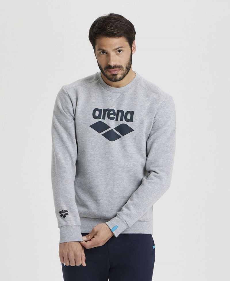 Arena Logo Crewneck Sweatshirt Grau | GVH33J-375