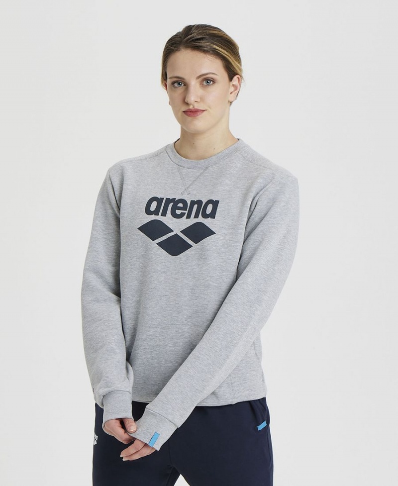 Arena Logo Crewneck Sweatshirt Grau | GVH33J-375