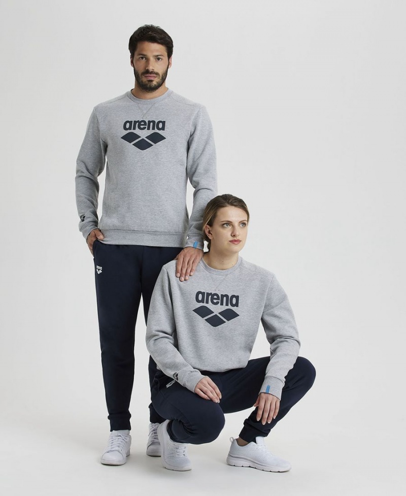 Arena Logo Crewneck Sweatshirt Grau | GVH33J-375