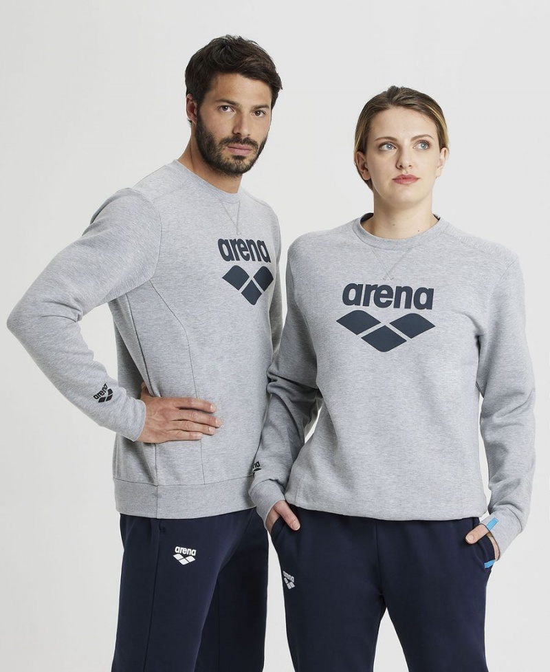 Arena Logo Crewneck Sweatshirt Grau | GVH33J-375