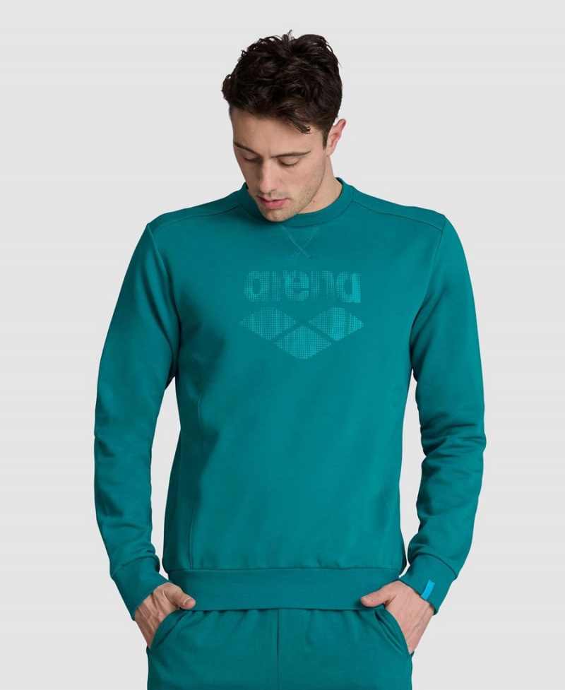 Arena Logo Crewneck Sweatshirt Grün | AEB16V-527