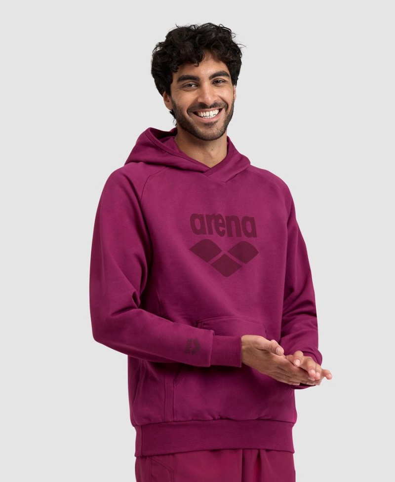 Arena Logo Mit Kapuze Sweatshirt Bordeaux | TRL77R-769