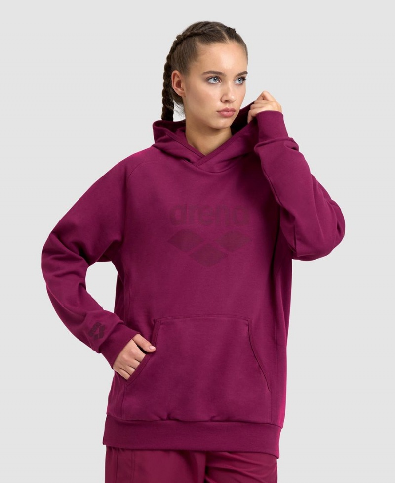 Arena Logo Mit Kapuze Sweatshirt Bordeaux | TRL77R-769