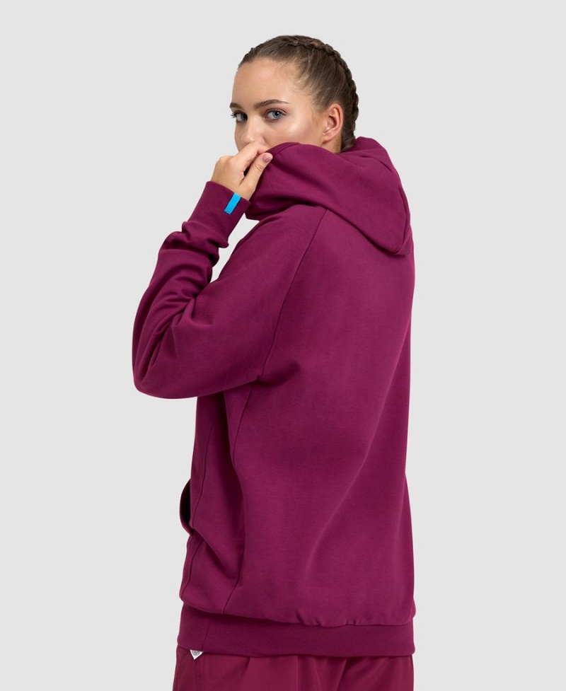 Arena Logo Mit Kapuze Sweatshirt Bordeaux | TRL77R-769