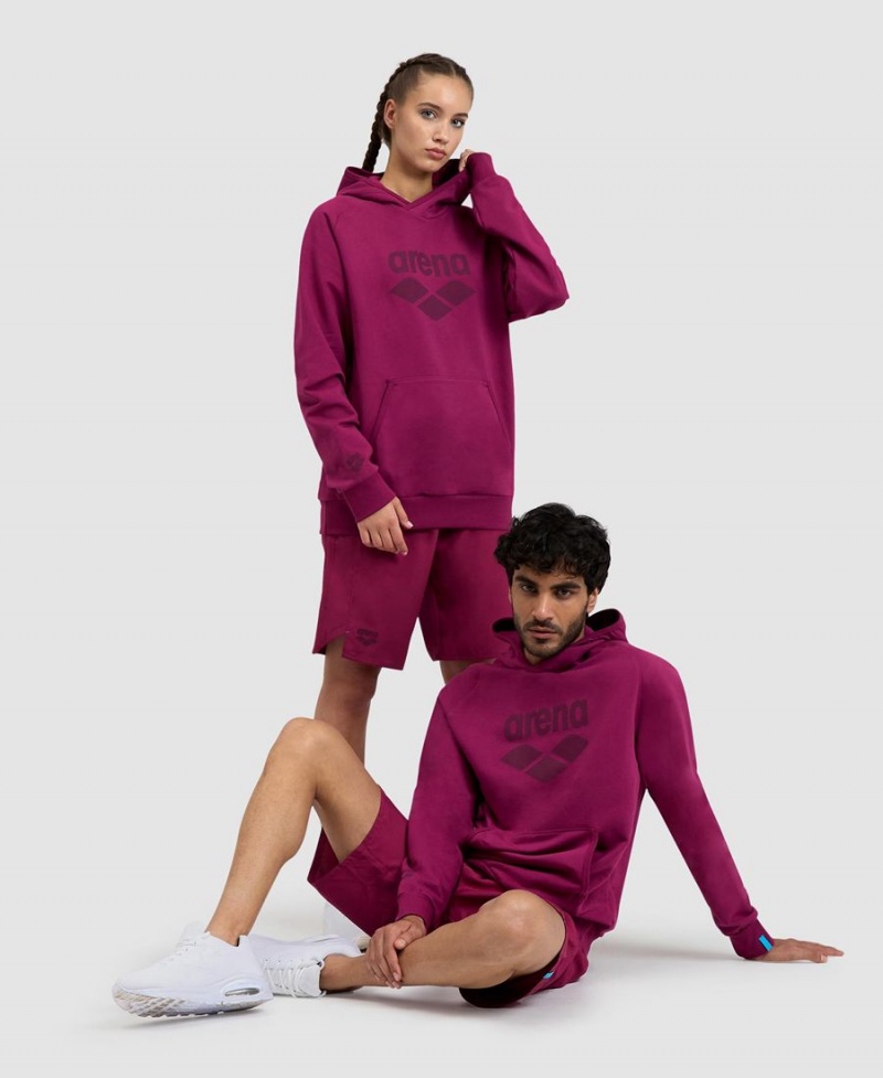 Arena Logo Mit Kapuze Sweatshirt Bordeaux | TRL77R-769