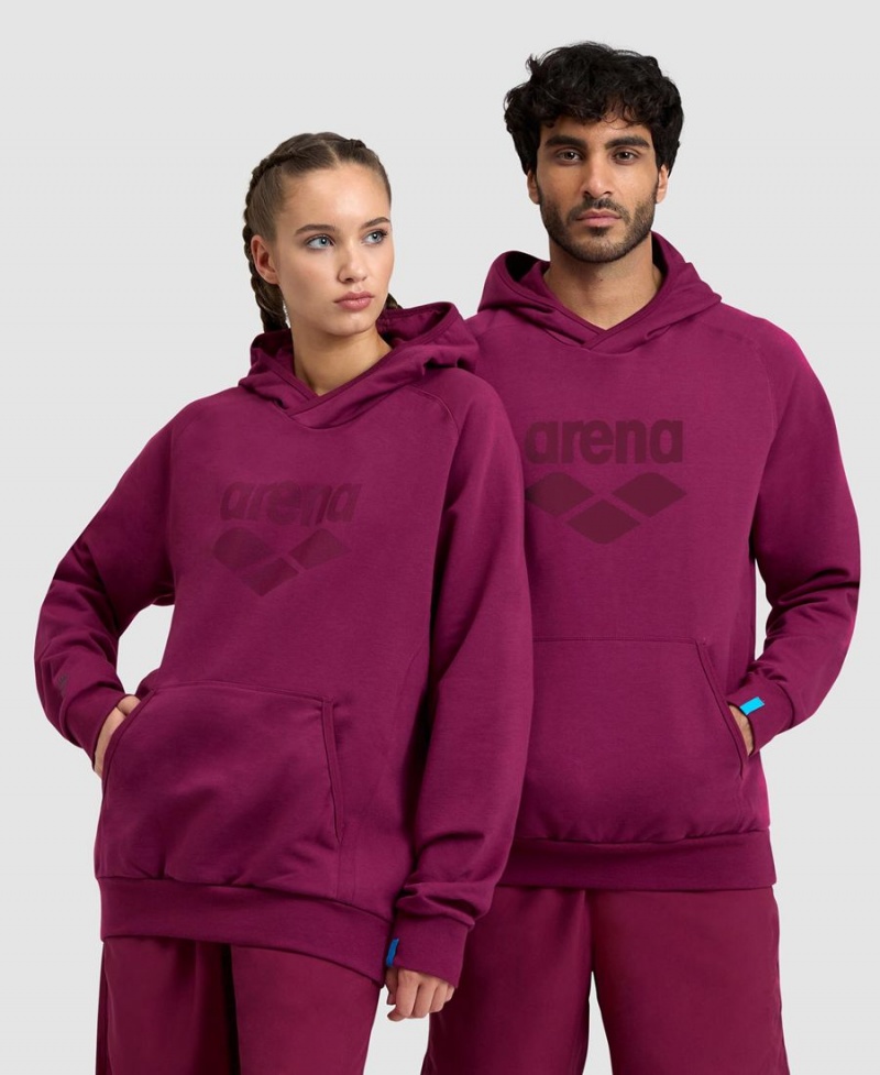 Arena Logo Mit Kapuze Sweatshirt Bordeaux | TRL77R-769