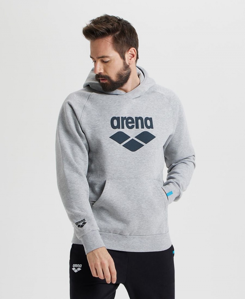 Arena Logo Mit Kapuze Sweatshirt Grau | CVS33B-781