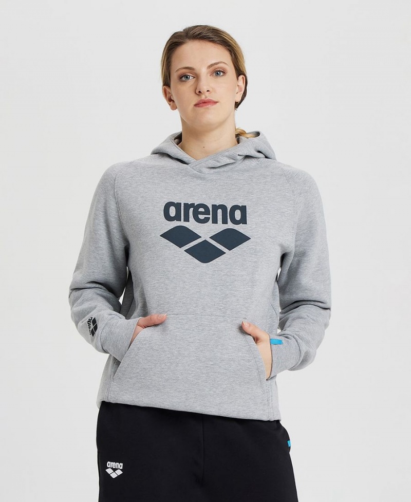 Arena Logo Mit Kapuze Sweatshirt Grau | CVS33B-781