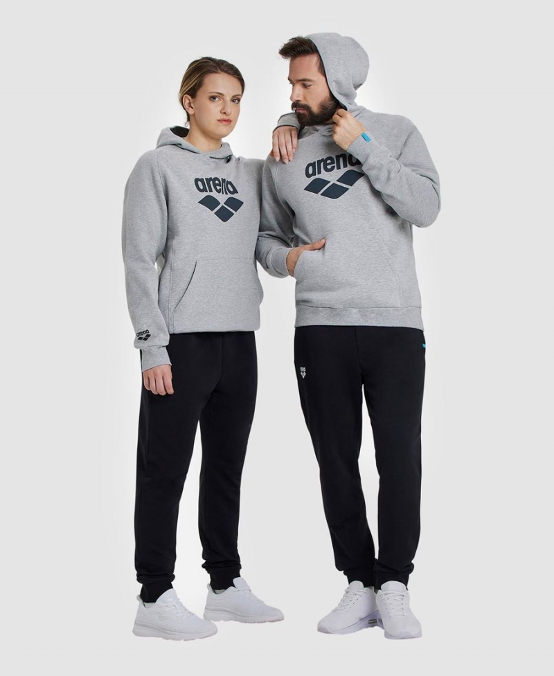 Arena Logo Mit Kapuze Sweatshirt Grau | CVS33B-781