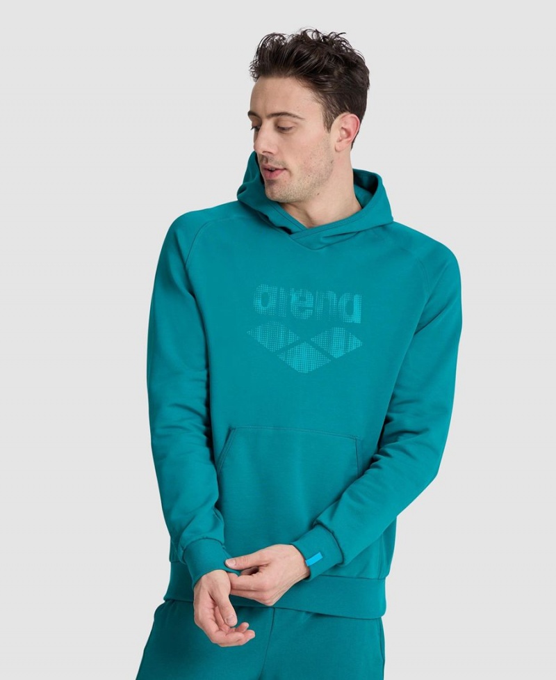 Arena Logo Mit Kapuze Sweatshirt Grün | DBR55U-746