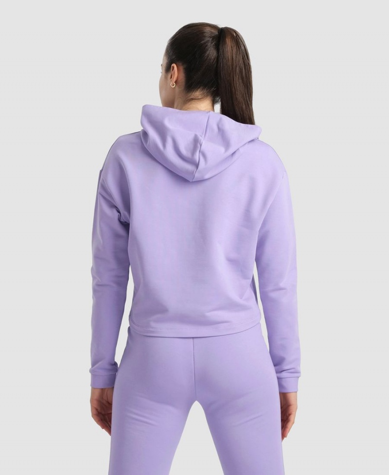 Arena Mit Kapuze Fleece Sweatshirt Lila | LWP76T-815