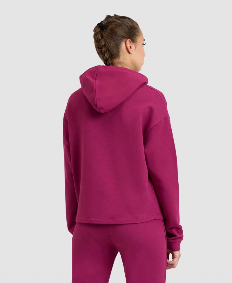 Arena Mit Kapuze Fleece Sweatshirt Rot | WAF56J-919