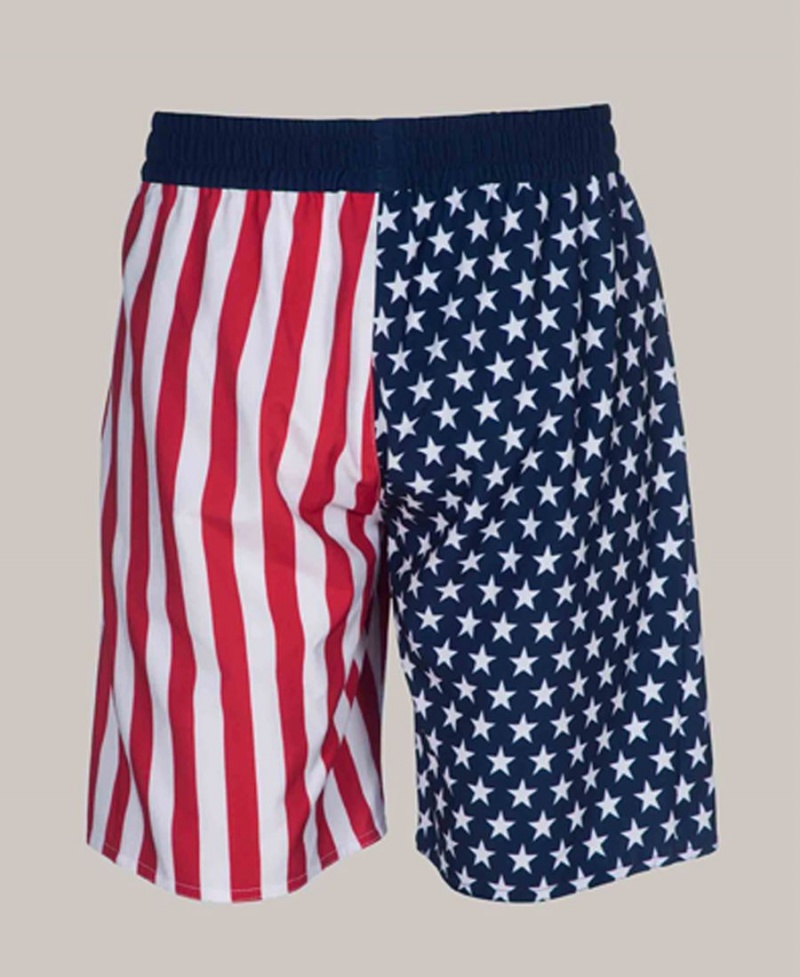 Arena Official USA Swimming National Team Flag Print Bermuda Kurze Hose Navy Rot Weiß | JVY67E-398